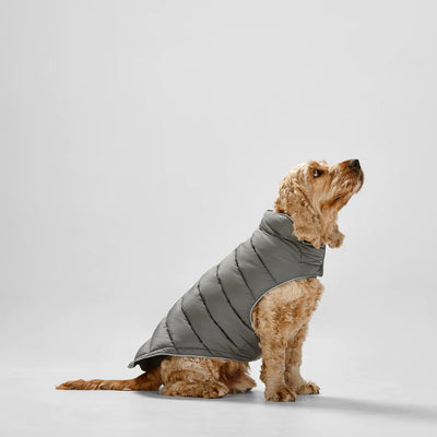 Snooza Wear Dog Puffer Sport - Graphite