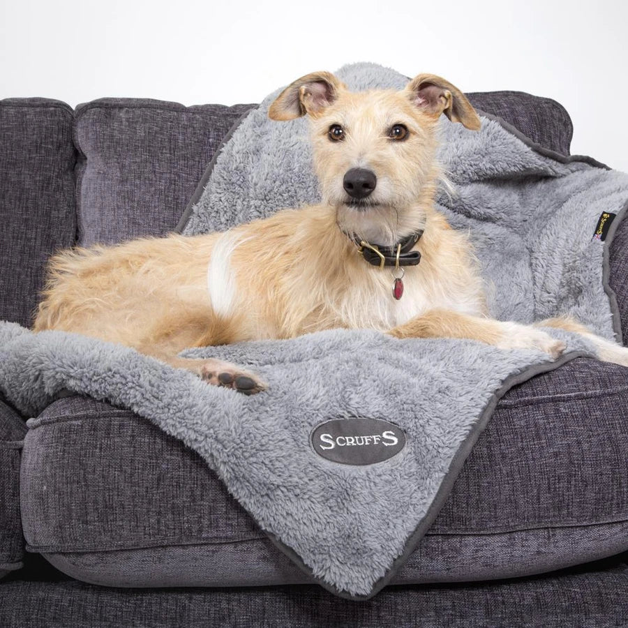 Scruffs Dog Cosy Blanket - Grey