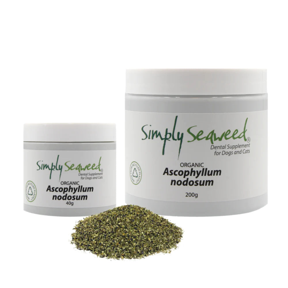 Simply Seaweed Pet Dental Supplement