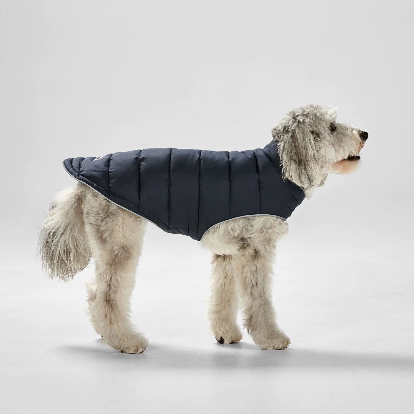 Snooza Wear Dog Puffer Sport - Black