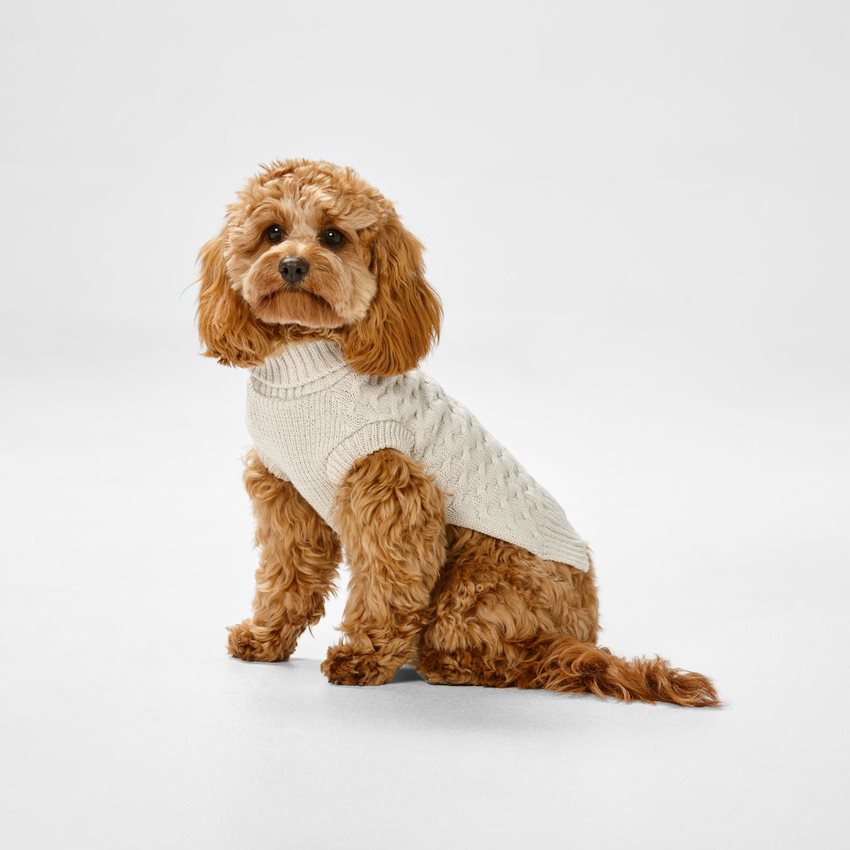 Snooza Wear RPET Dog Knit Polo - Oatmeal