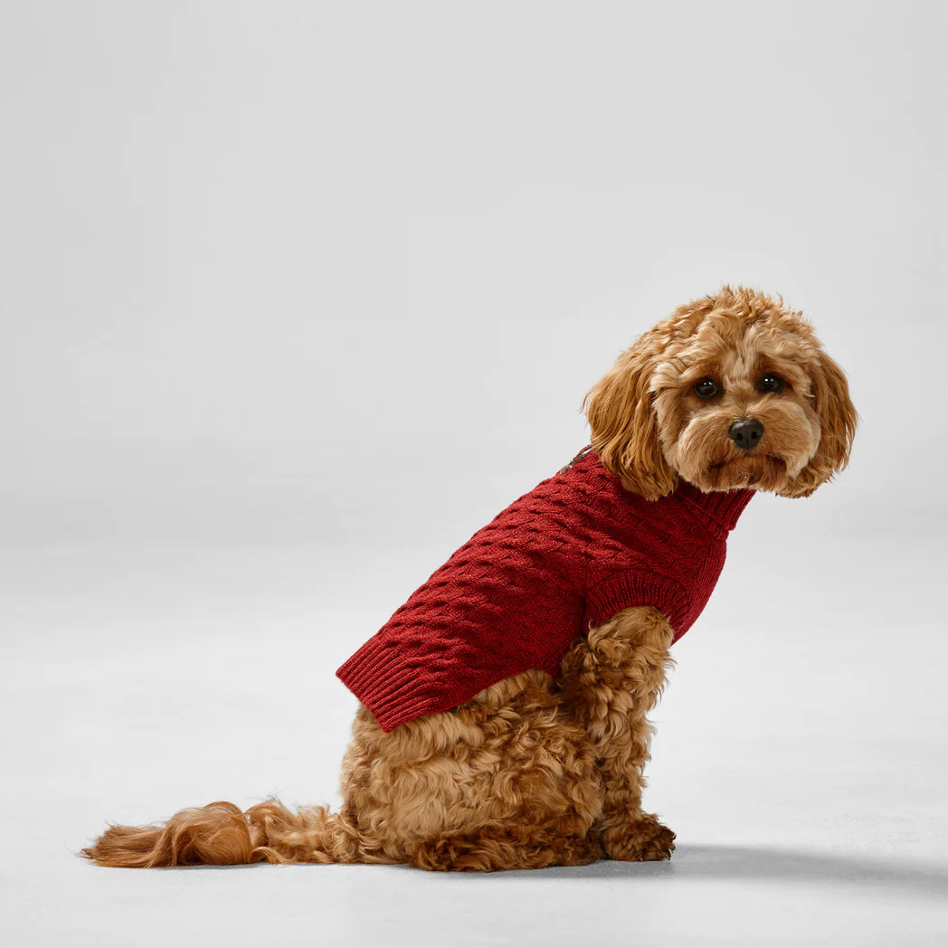 Snooza Wear RPET Dog Knit Polo - Red