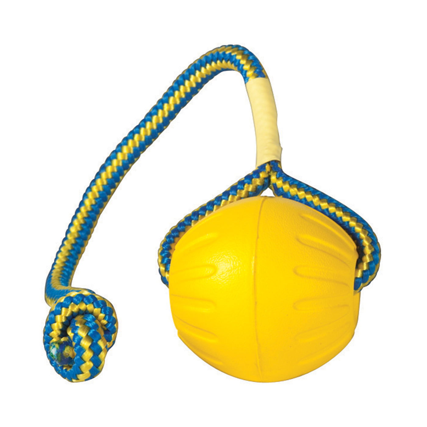 Starmark Swing n’ Fling Durafoam Fetch Ball Dog Toy