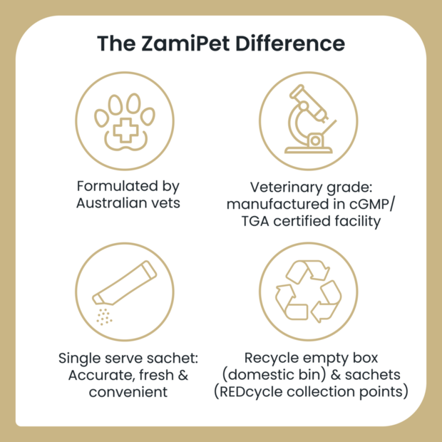 ZamiPet Adult Dog High Strength Oral Powder Probiotics + Gut Protect 30 x 1.2g