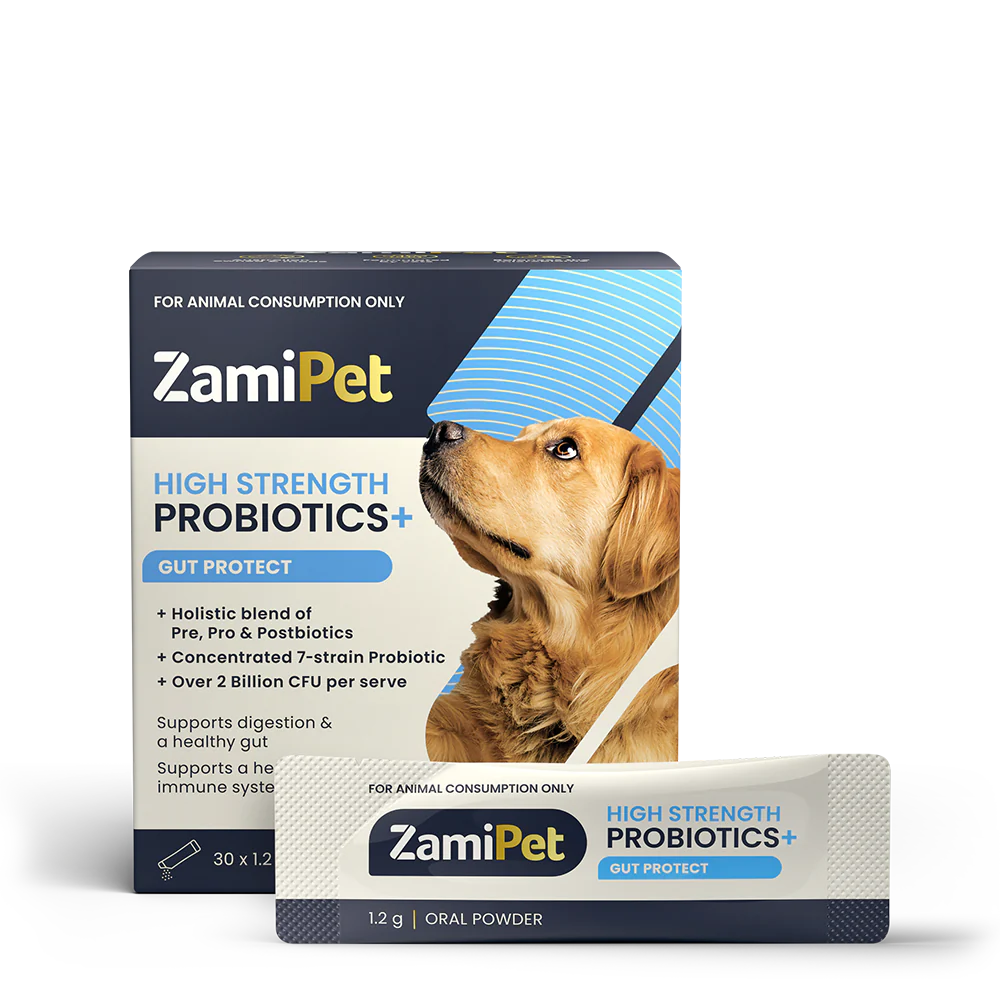 ZamiPet Adult Dog High Strength Oral Powder Probiotics + Gut Protect 30 x 1.2g