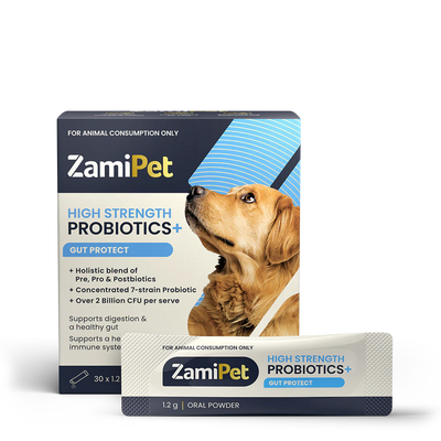 ZamiPet Adult Dog High Strength Oral Powder Probiotics + Gut Protect 30 x 1.2g