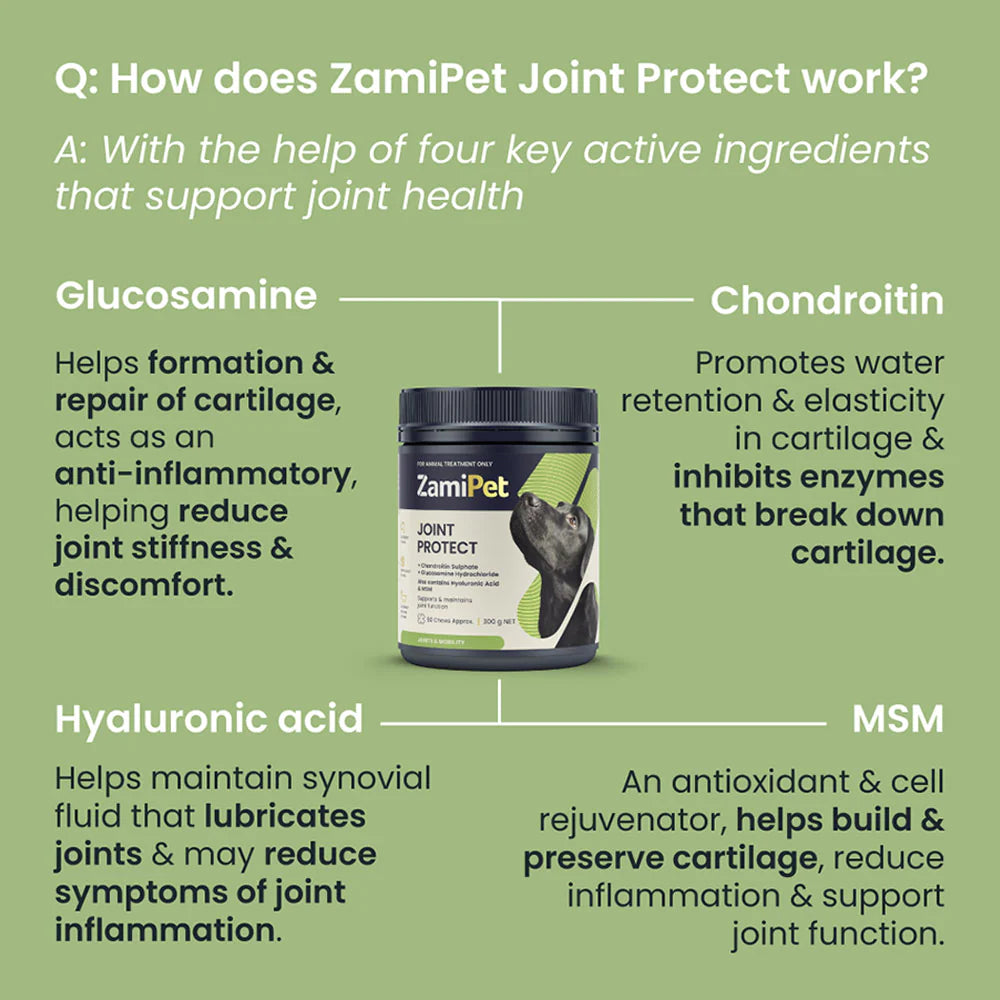 ZamiPet Dog Joint Protect