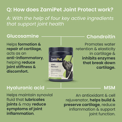 ZamiPet Dog Joint Protect