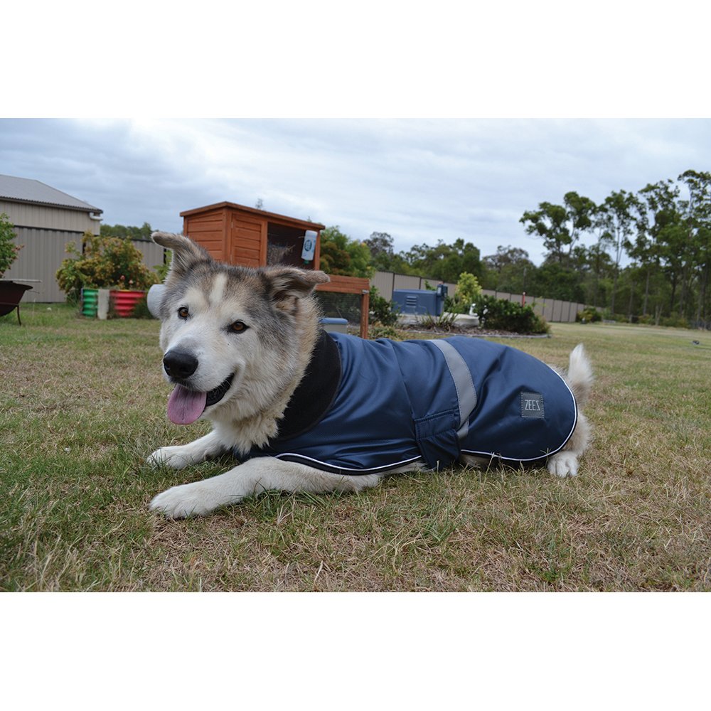 ZeeZ Waterproof Dapper Dog Coat – Old Navy