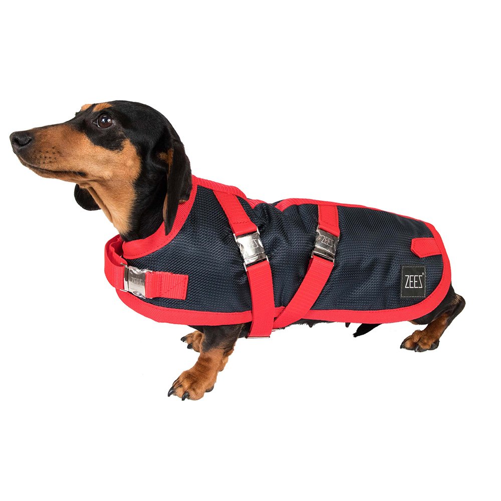 ZeeZ Waterproof Supreme Dachshund Dog Coat - Navy Stone/Red