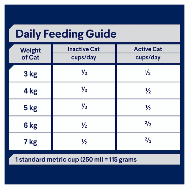 Advance Cat Dry Food Dental Health And Healthy Skin Ocean Fish with Rice