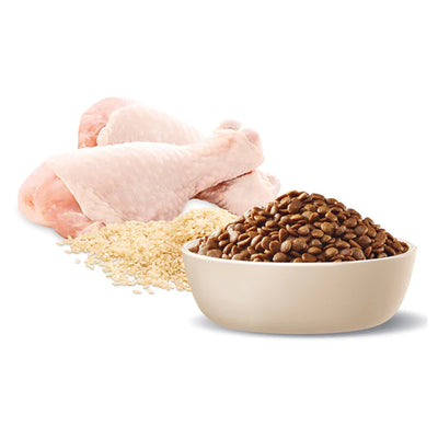 Advance Adult Healthy Ageing Cat Dry Food  Chicken & Rice Recipe 3kg