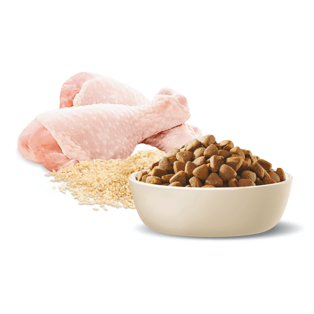 Advance Adult Dog Medium Breed Healthy Ageing Chicken & Rice Recipe - 15kg