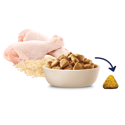 Advance Adult Dog Large Breed Chicken & Rice Recipe - 13kg