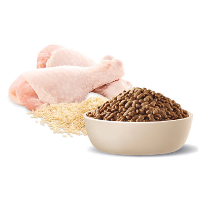 Advance Adult Dog Food Small Breed Chicken With Rice Recipe