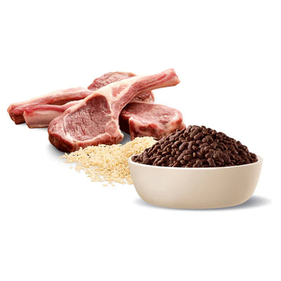 Advance Adult Dog Food Small Breed Lamb with Rice Recipe