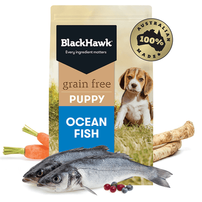 Black Hawk Puppy Dog Dry Food GRAIN FREE Ocean Fish Recipe