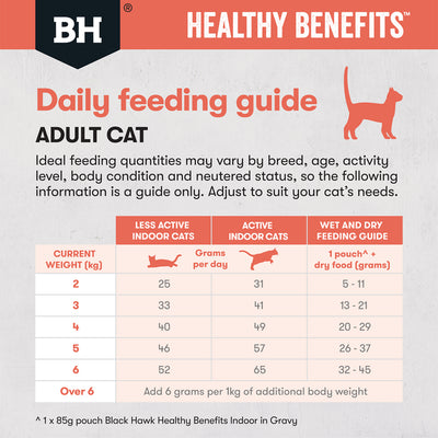 Black Hawk Adult Cat Dry Food Healthy Indoor Benefits Chicken Rice Recipe