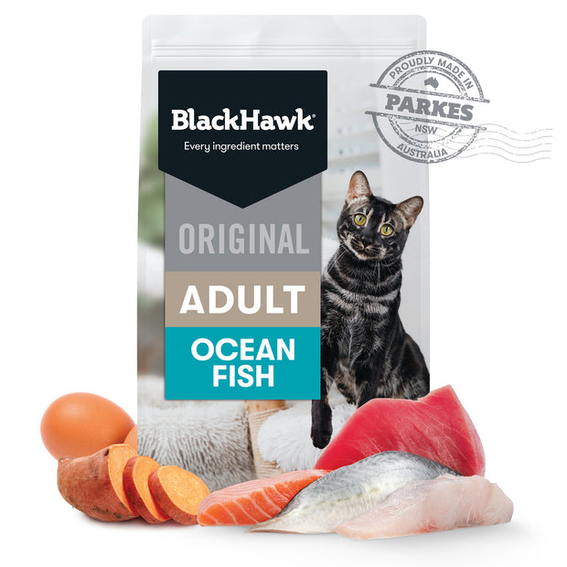 Black Hawk Adult Cat Dry Food Ocean Fish