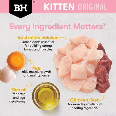 Black Hawk Kitten Dry Food Chicken Recipe