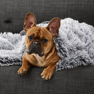 Snooza Calming Cuddler Blanket Chinchilla & Silver Fox