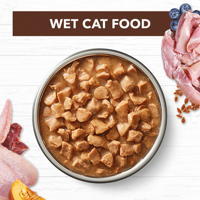 Ivory Coat Adult Cat Wet Food Grain Free Chicken & Kangaroo in Gravy 12 x 85g