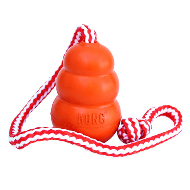 KONG Aqua Medium Dog Toy