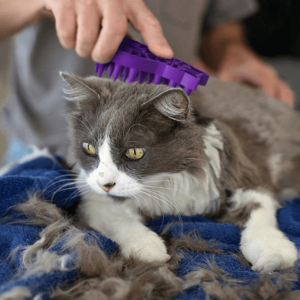 KONG – ZoomGroom for Cats