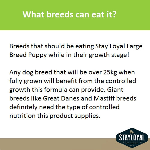 Stay Loyal Grain Free Large Breed Puppy Food - 13kg