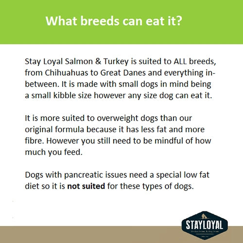 Stay Loyal Grain Free Holistic Meat Blend of Salmon, Turkey & Pork - 8kg