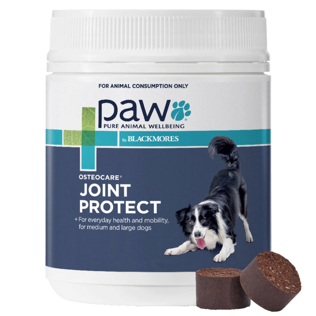 Blackmores Paw Osteocare Joint Protect Chews - 500gm