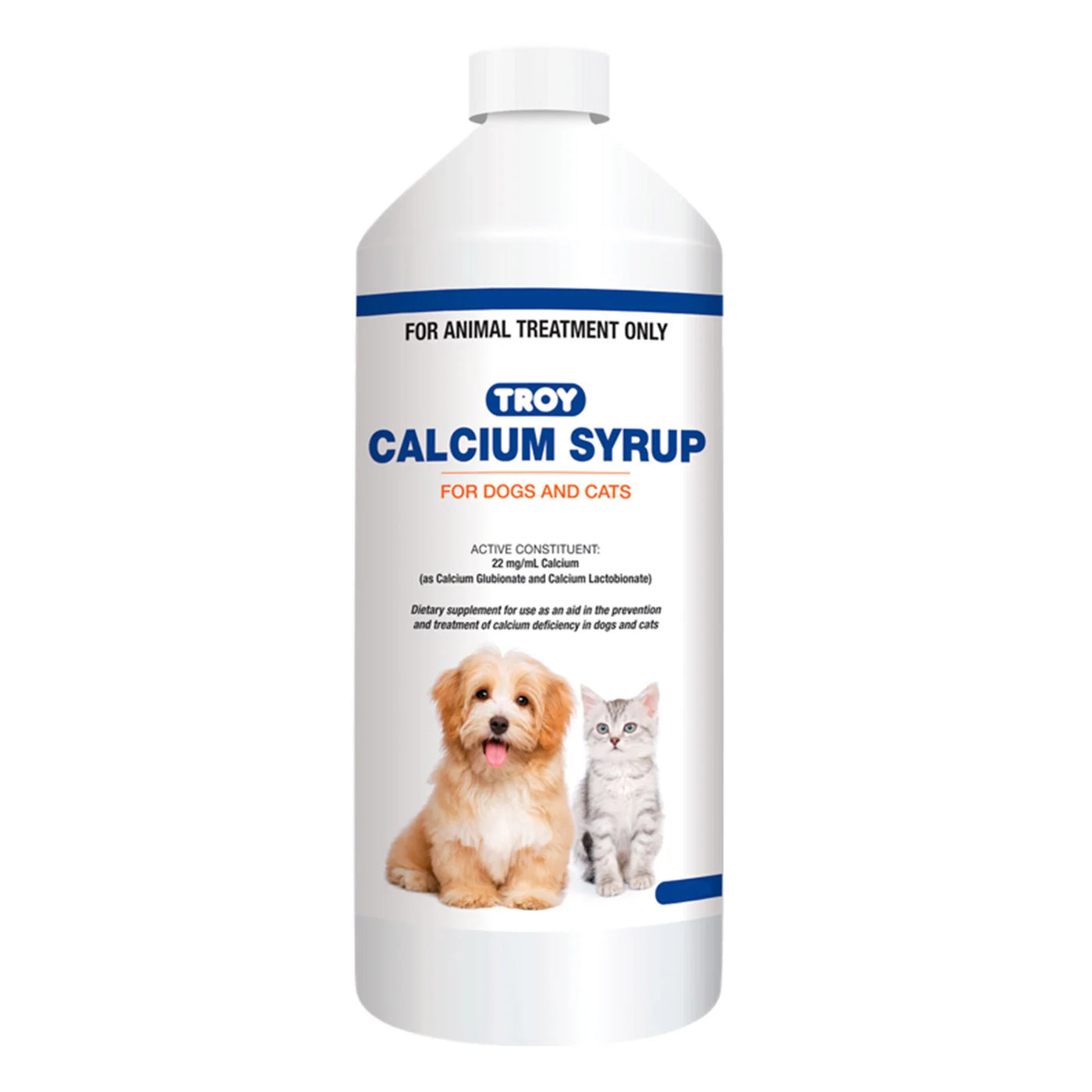 Troy Calcium Syrup - 1.0ltr