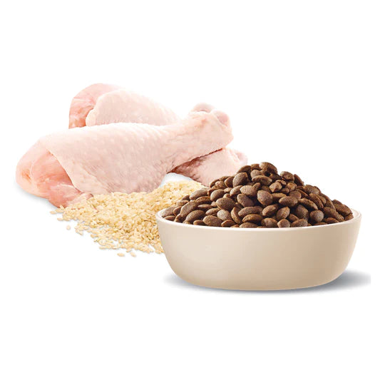 Advance Puppy Dry Food Large Breed Chicken & Rice Recipe