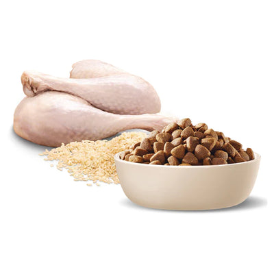 Advance Adult Dog Food Medium Breed Turkey & Rice Recipe