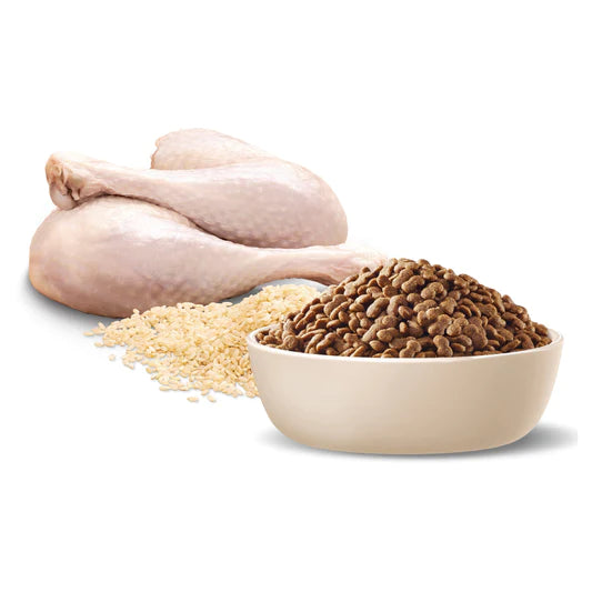 Advance Adult Dog Food Small Breed Turkey & Rice Recipe