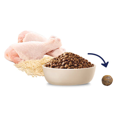 Advance Puppy Medium Breed Dry Food Chicken with Rice Recipe