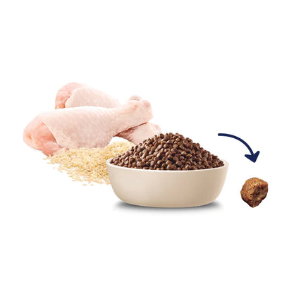 Advance Puppy Dry Food Small Breed Rehydratable Chicken with Rice Recipe