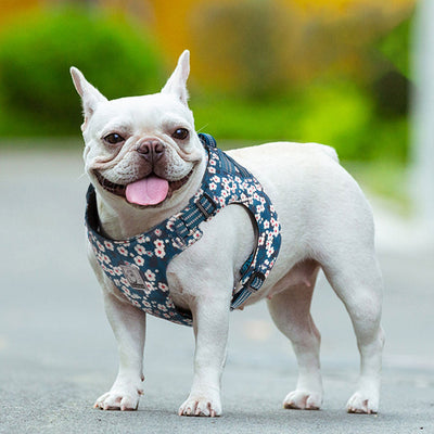 Truelove Floral Doggy Harness Saxony Blue - Extra Small