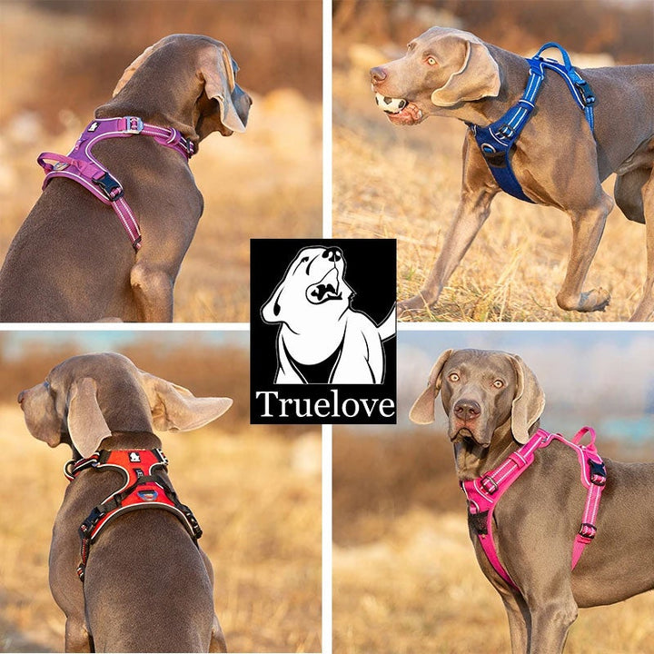 Truelove No Pull Harness Black - Large