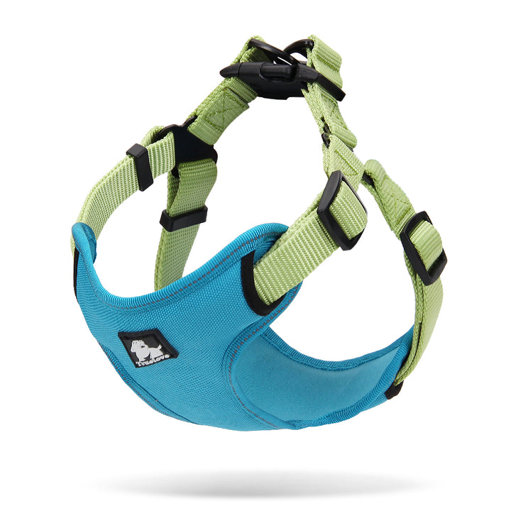 Truelove Urban Harness Blue/Green - Large