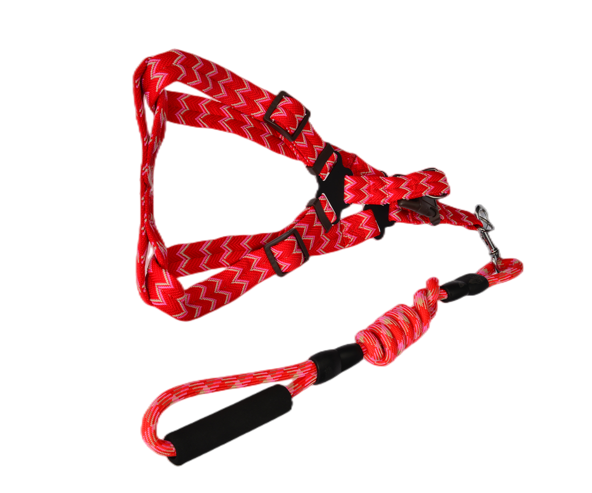 YES4PETS 2 X Pet Harness, Lead & Collar - Medium (Assorted Colours)