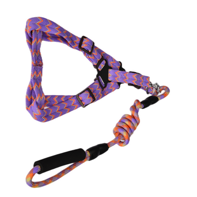 YES4PETS 2 X Pet Harness, Lead & Collar - Medium (Assorted Colours)