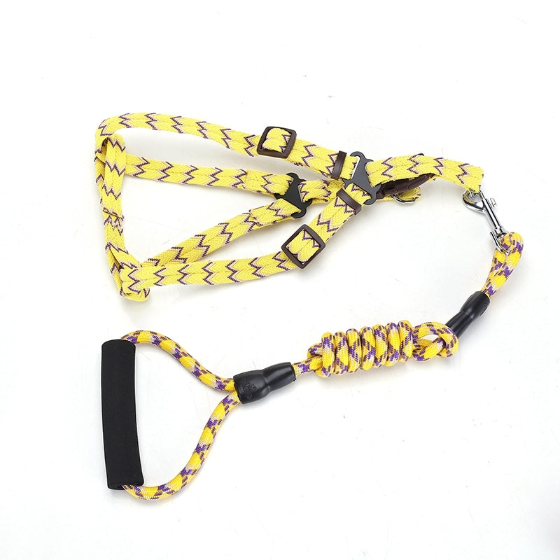 YES4PETS 2 X Pet Harness, Lead & Collar - Medium (Assorted Colours)