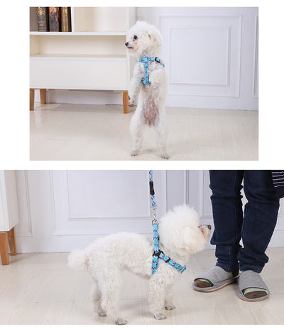 YES4PETS 2 X Pet Harness, Lead & Collar - Medium (Assorted Colours)