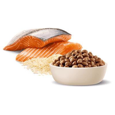 Advance Adult Dog Food Large Oodles Salmon with Rice Recipe