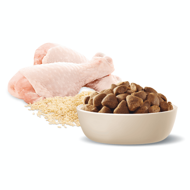 Advance Adult Dog Food Large Breed Chicken Recipe with Rice